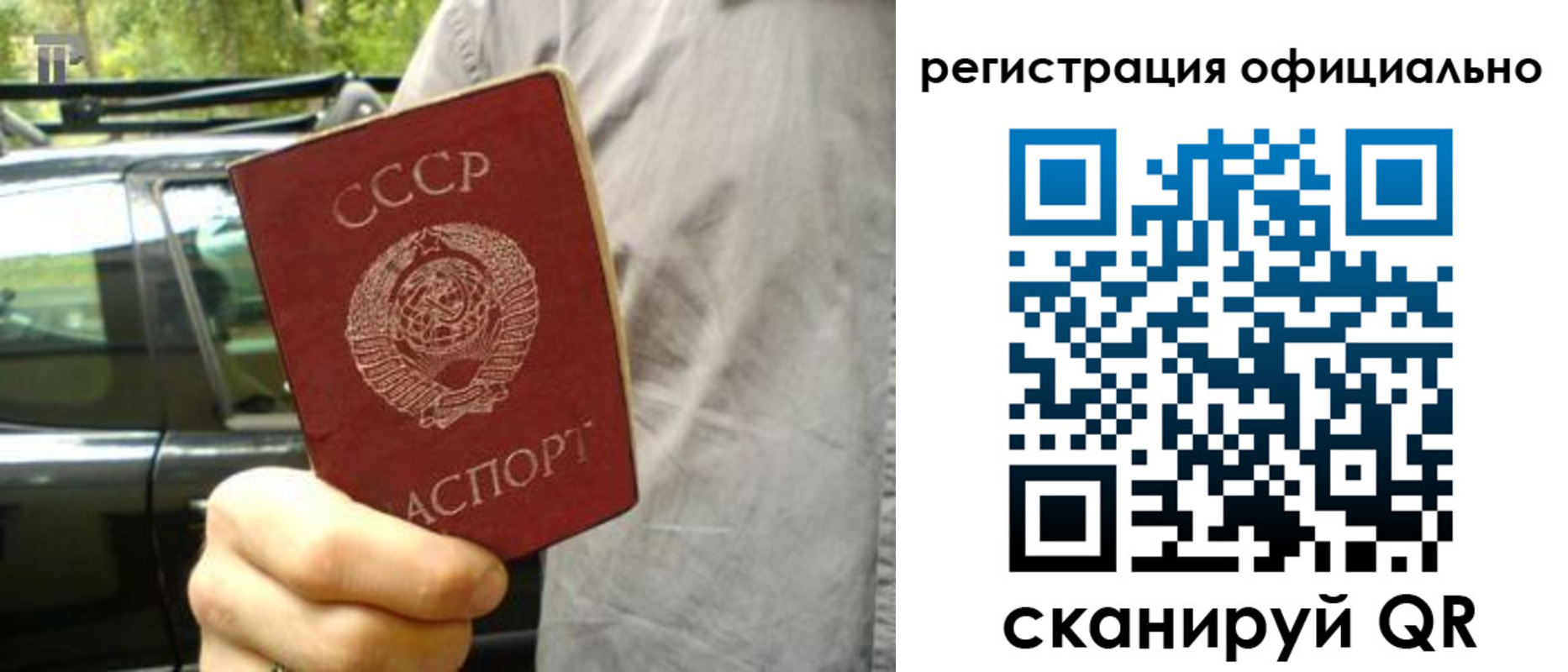прописка законно в Сальске